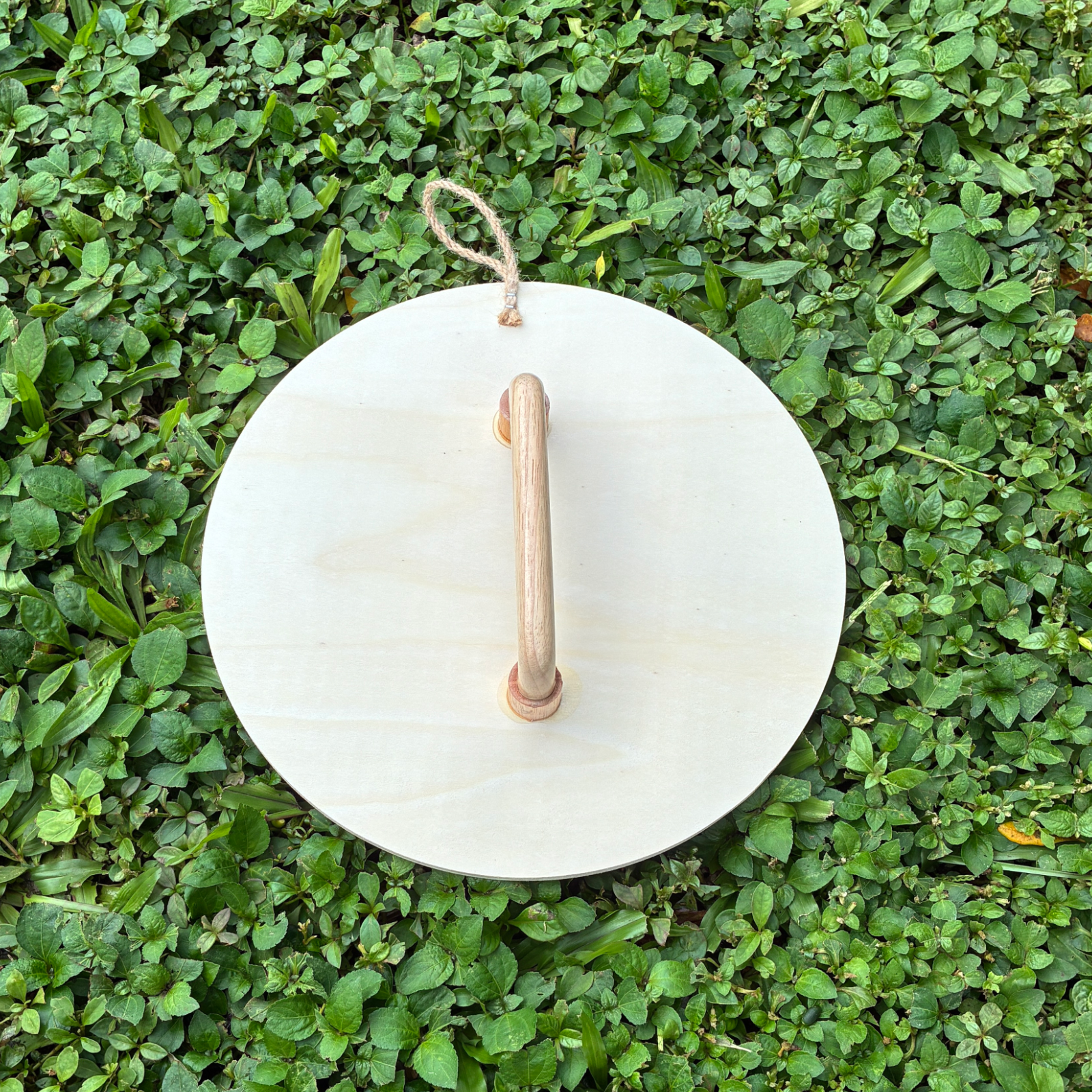 Shield – Backyard Blasters